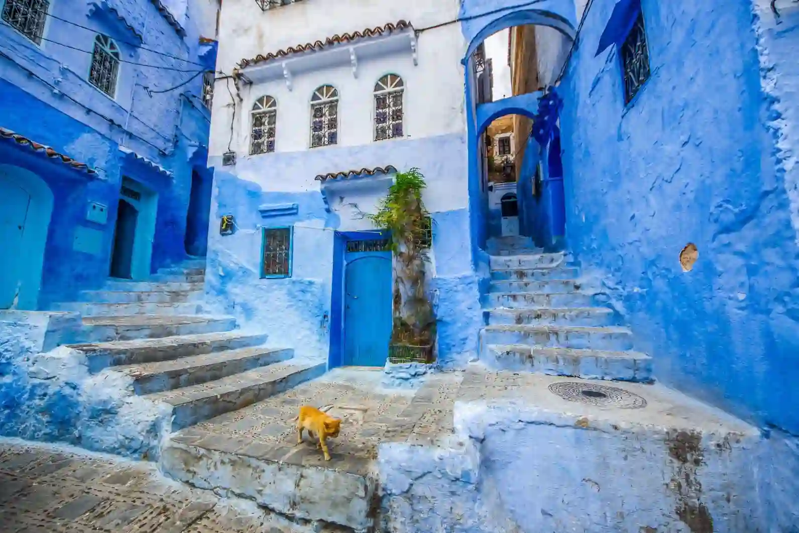 Chefchaouen blue city Morocco walking tour campervan travel