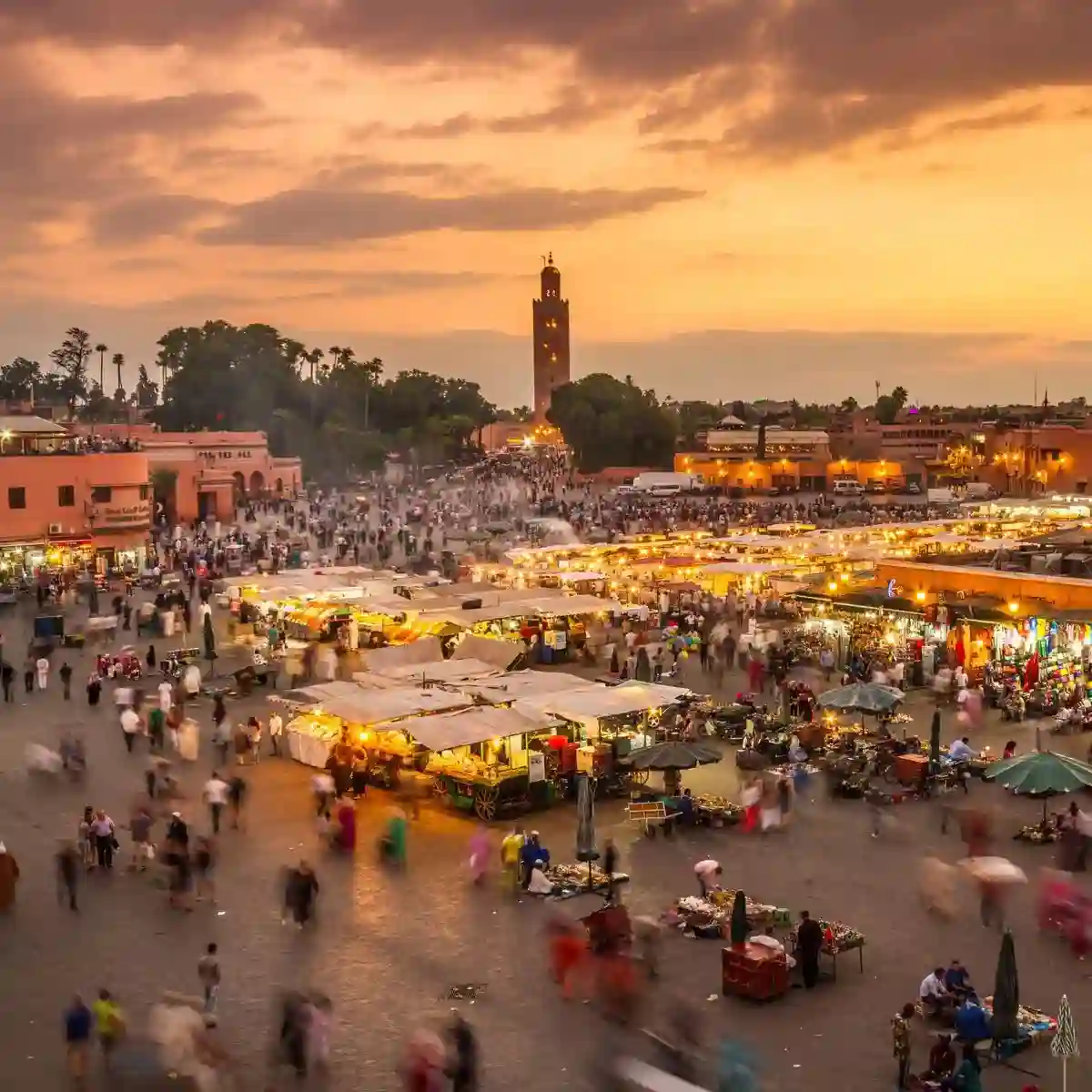 Marrakech city view with Atlas Mountains — campervan Marrakech travel