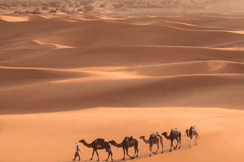 Camper Van Rental Morocco | 7 Ultimate Morocco Vacation Packages for a Dream Trip